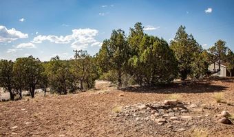 475 Run Around, Arboles, CO 81121