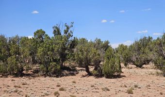 27 N 9183, Concho, AZ 85924