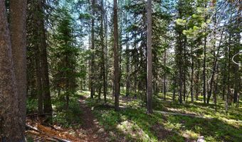 Beehive Basin Road, Big Sky, MT 59716