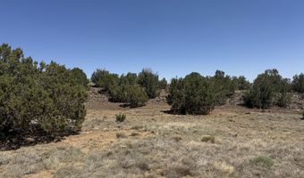 5 County Rd # 8095, Concho, AZ 85924