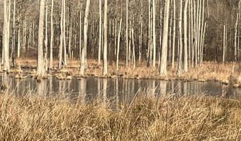 0 CR 437, Ashland, MS 38603