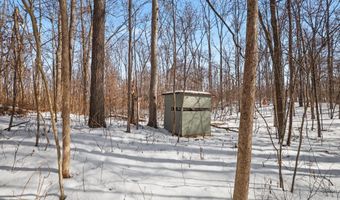 27 Mile Rd, Albion, MI 49224