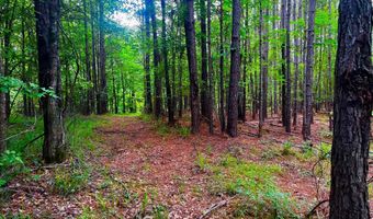 Arthur Drive, Brookhaven, MS 39601