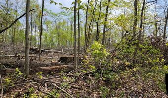 3705 ALEXANDER Rd, Randolph, OH 44201