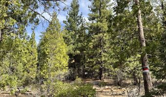 Whale Lane, Bonanza, OR 97623