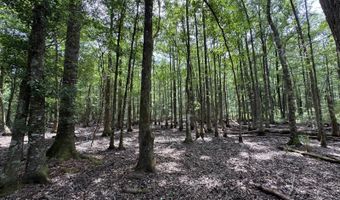 Fox Paw Court, Branchville, SC 29432