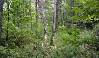 100 Route 302, Carroll, NH 03595