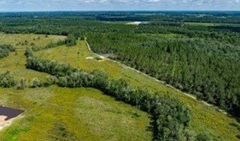 542 Lilla B Gaskins Rd, Alapaha, GA 31622