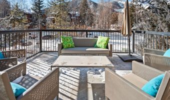 990 E Hopkins Ave, Aspen, CO 81611