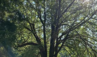 18624 HIGHWAY 36, Blachly, OR 97412