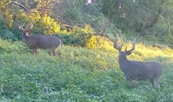 Lot 4 Prairie View Road, Argyle, WI 53504