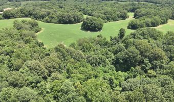 Hwy 1591, Bardwell, KY 42023