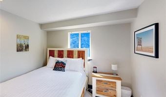 1095 QUARTZVILLE, Alma, CO 80440