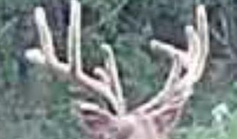 240 Magnolia, Bennington, OK 74723