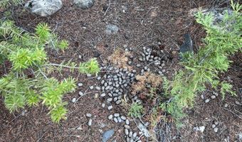 Nhn Lost Creek Rd, Anaconda, MT 59711