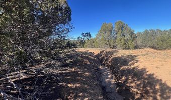 96 CR3041, Concho, AZ 85924