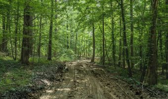 U.s. 49, Bentonia, MS 39040