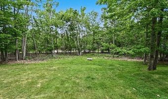 4134 N Weasel Trl, Alcona, MI 48742
