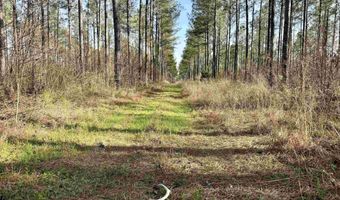 Highway 28, Abbeville, SC 29620