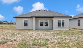1334 S 9th St, Alamo, TX 78516