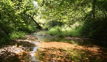 TBA BETTYS BRANCH RD X, Arvonia, VA 23004