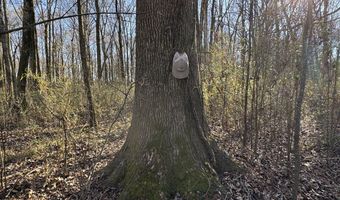 6075 Curtis Rd, Batesville, MS 38606