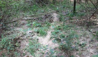 00 Pinola Braxton Rd, Braxton, MS 39044