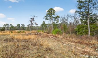 868 County Road 2920, Alba, TX 75410