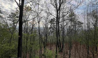5810 431 S, Attalla, AL 35954