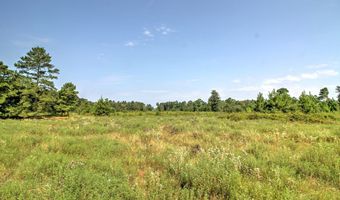 210 CR 2823, Alto, TX 75925
