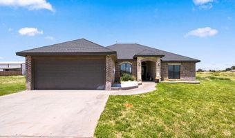 4865 SE 2700, Andrews, TX 79714