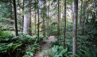 1107 WINCHUCK RIVER Rd, Brookings, OR 97415