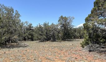 61 Norma Nw4 Rd, Ash Fork, AZ 86320