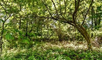 2905 N Lake Pleasant Rd, Arcadia, MI 48412