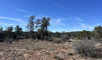 362 Big View Trl, Ash Fork, AZ 86320