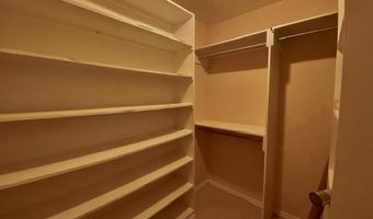 1410 S Bunny St, Alton, TX 78573