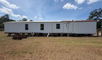 916 NE Robinson Rd - Tract 2, Barney, GA 31625