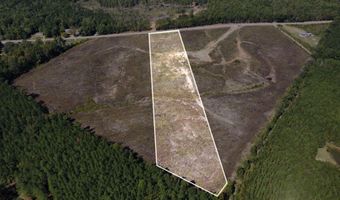 Lot 3 State Highway 790, Ackerman, MS 39735