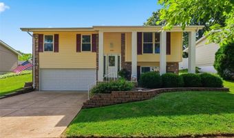 254 Village Mead Dr, Ballwin, MO 63021