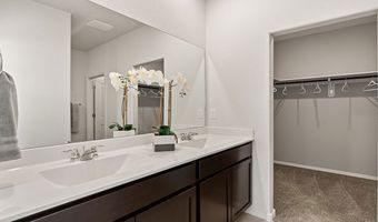 5503 Sagan Loop SE Plan: Bergamot, Albuquerque, NM 87106