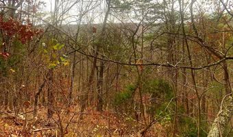 SPITZ Lane, Basye, VA 22810