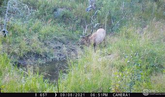 Old Flowers Rd, Bellvue, CO 80512