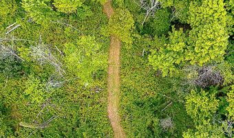 9905 52nd Ave, Allendale, MI 49401