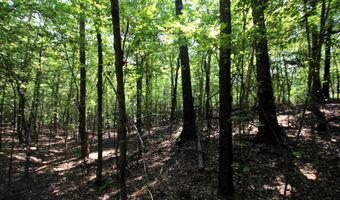 000 Sorrell Rd, Benton, AR 72015