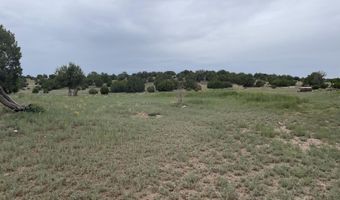 68 County Road 8620, Concho, AZ 85924