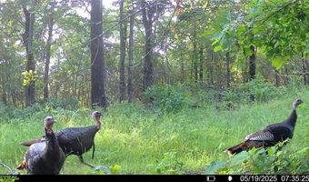 71 8 Klondike Rd, Anderson, MO 64831