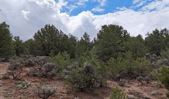Unk Sandia Canyon Rd, Arroyo Hondo, NM 87513
