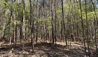 SW Auburn Drive, Bogue Chitto, MS 39629