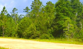 CLEVELAND DRIVE, Alford, FL 32420