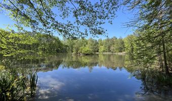 110 Hawks Nest Cv, Brandon, MS 39042